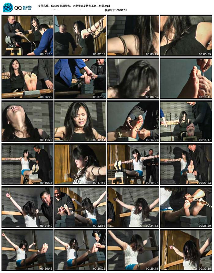 ����֬�ۣ��ϻ���Ű�㿽��ϵ�С�ͮӢ