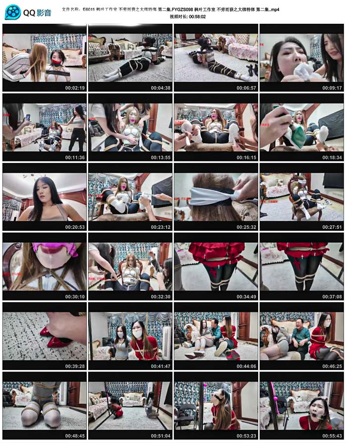 ��Ҷ������ ���Ͷ���֮����ذ� �ڶ���.FYGZS098 ��Ҷ������ ��